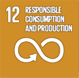 12-Resposible Consumption